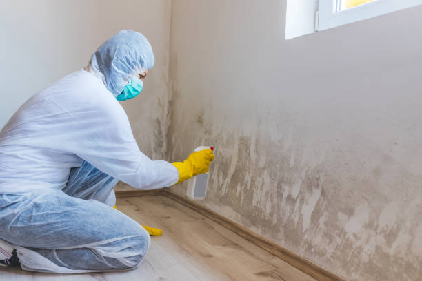 Mold Remediation specialist working in Old Hickory