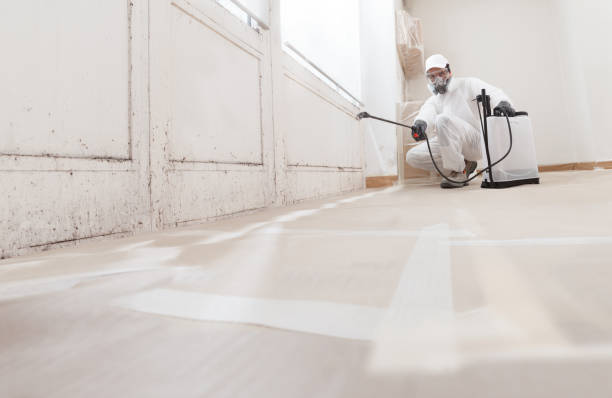 Black mold remediation team in Old Hickory